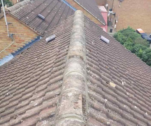 This is a photo of a roof ridge that has just been re-bedded, work carried out by DSC Roofing Rushden